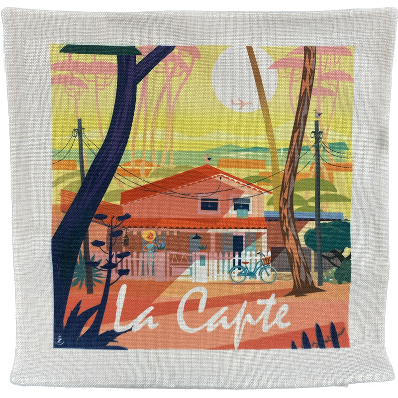 Housse de coussin La Capte Monsieur Z